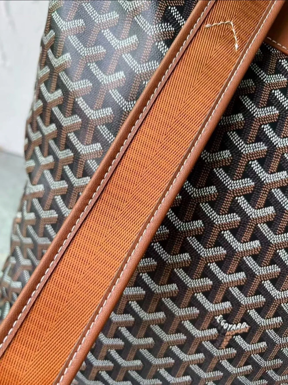 Goyard Brown Printed Canvas & Leather Tote Backpack - Luxury Style